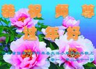 ֹ,żҿڴ󷨵ӹףʦ(22)