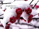 ֹ,д󷨵ӹףʦ(22)