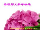 ֹ,󷨵ӹףʦ(23)