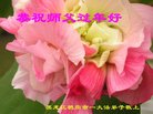 ֹ,󷨵ӹףʦ(23)