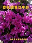 ֹ,󷨵ӹףʦ(20)