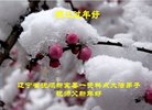 ֹ,󷨵ӹףʦ(23)