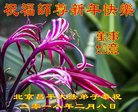 ֹ,󷨵ӹףʦ(25)