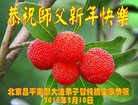 ֹ,󷨵ӹףʦ(18)