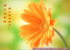 ֹ,󷨵ӹףʦ(23)