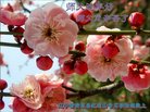 ֹ,󷨵ӹףʦ(23)