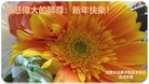 ֹ,ϴ󷨵ӹףʦ(30)