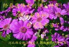 ֹ,ӱ󷨵ӹףʦ(24)