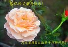 ֹ,󷨵ӹףʦ(20)