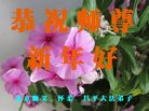 ֹ,󷨵ӹףʦ(24)