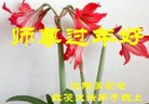 ֹ,󷨵ӹףʦ(30)