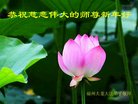 ֹ,󷨵ӹףʦ(19)