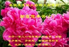 ֹ,󷨵ӹףʦ(27)