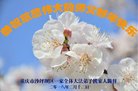 ֹ,󷨵ӹףʦ(28)