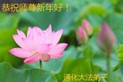 ֹ,ʡ󷨵ӹףʦ(29)