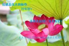 ֹ,󷨵ӹףʦ(28)
