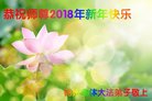 ֹ,ݴ󷨵ӹףʦ(26)