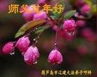 ֹ,«󷨵ӹףʦ(23)
