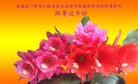 ֹ,żҿڴ󷨵ӹףʦ(22)