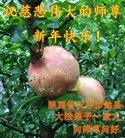 ֹ,󷨵ӹףʦ(18)