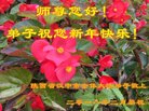 ֹ,󷨵ӹףʦ(18)