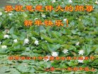ֹ,󷨵ӹףʦ(18)