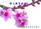 ֹ,ɹŴ󷨵ӹףʦ(33)