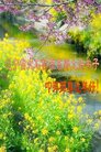 ֹ,󷨵ӹףʦ(20)