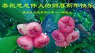 ֹ,󷨵ӹףʦ(23)