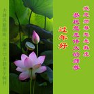 ֹ,󷨵ӹףʦ(24)