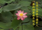 ֹ,󷨵ӹףʦ(24)