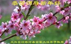 ֹ,ɹŴ󷨵ӹףʦ(33)