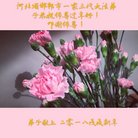 ֹ,ӱ󷨵ӹףʦ(29)