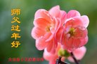 ֹ,󷨵ӹףʦ(25)
