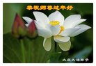 ֹ,󷨵ӹףʦ(18)