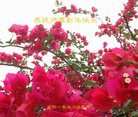ֹ,󷨵ӹףʦ(27)