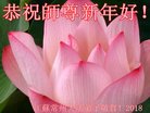 ֹ,մ󷨵ӹףʦ(24)