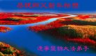 ֹ,̽󷨵ӹףʦ(23)