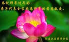 ֹ,󷨵ӹףʦ(25)