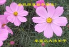 ֹ,ػʵ󷨵ӹףʦ(24)