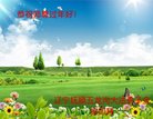 ֹ,󷨵ӹףʦ(28)