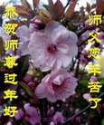 ֹ,󷨵ӹףʦ(25)