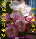 ֹ,󷨵ӹףʦ(25)