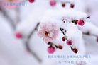 ֹ,󷨵ӹףʦ(24)