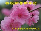 ֹ,㶫󷨵ӹףʦ(25)
