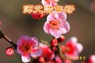 ֹ,󷨵ӹףʦ(22)