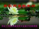 ֹ,ȷ󷨵ӹףʦ(25)