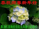 ֹ,󷨵ӹףʦ(22)