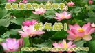 ֹ,󷨵ӹףʦ(27)
