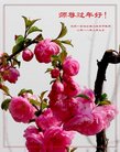ֹ,󷨵ӹףʦ(28)